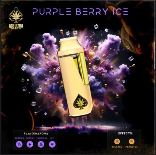 PURPLE BERRY