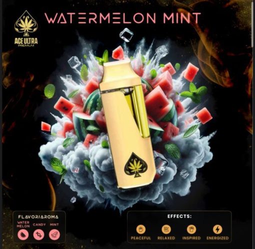 WATERMELON MINT 1G